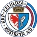 logo Celuloza Kostrzyn