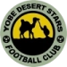 logo Yobe Desert Stars