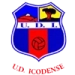 logo Icodense