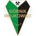 logo Gornik Wojkowice