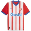 Camiseta Girona