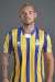 photo Sneijder