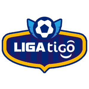 logo Primera Division 2024