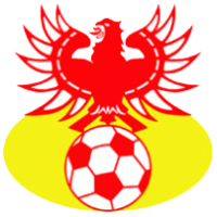 logo Go Ahead Eagles