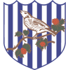 logo West Bromwich Albion
