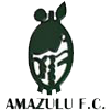 logo Zulu Royals