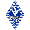 logo Waldhof Mannheim