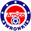 logo Amica Wronki