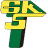 logo Gornik Leczna