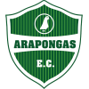 logo Arapongas EC