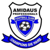 logo Amidaus Profs