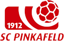 logo Pinkafeld