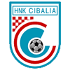 logo Dinamo Vinkovci