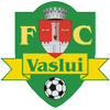 logo Vaslui