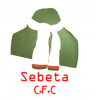 logo Sebeta City