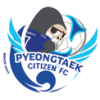 logo Pyeongtaek Citizen