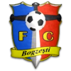 logo Bogzesti