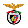 logo Penya Encarnada