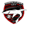 logo Terengganu City
