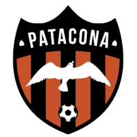 logo Patacona