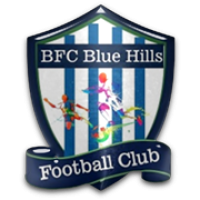 logo Blue Hills
