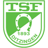 logo Ditzingen