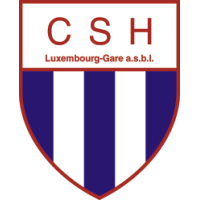 logo Hollerich