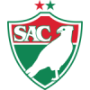 logo Salgueiro