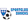 logo Buochs