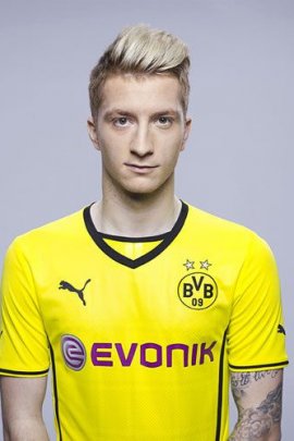 Marco Reus 2013-2014