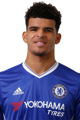 Dominic Solanke 2016-2017