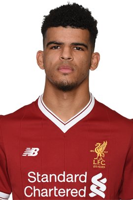 Dominic Solanke 2017-2018