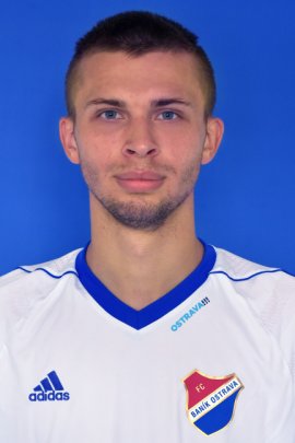 Artem Meshchaninov 2018-2019