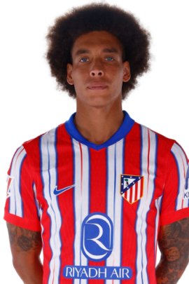 Axel Witsel