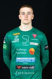 Tim Svensson Lillvik