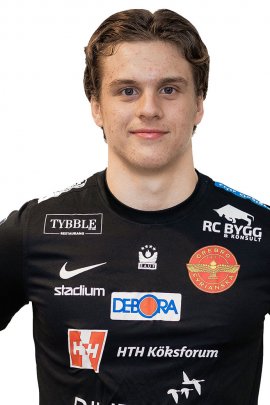 Claudiu Neagu