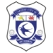 logo Cardiff City