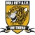 logo Hull City