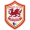 logo Cardiff City