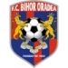 logo Bihor Oradea