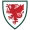 logo Wales U-21