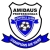 logo Amidaus Profs