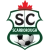 logo SC Scarborough