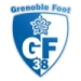 logo Grenoble