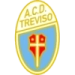 logo Treviso