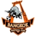 logo Bangkok FC