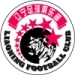 logo Liaoning Hongyun