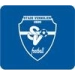 logo Stade Vernolien