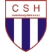 logo Hollerich