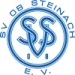 logo Steinach